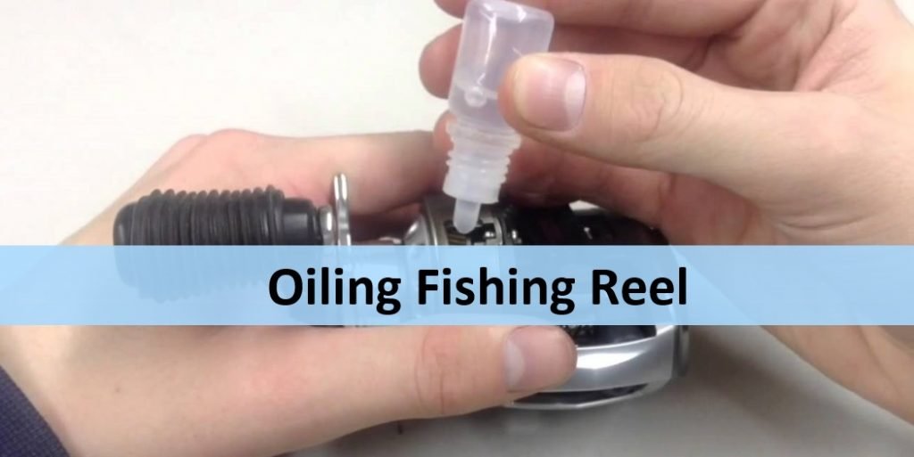 How to Oil a Fishing Reel StepByStep Breakdown
